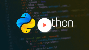 Python Champion