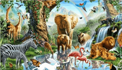 Learn about different animals